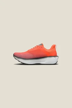 Road-To-Trail|Løping>Craft Sportswear Nordlite Ultra 2 M Shock/Grey